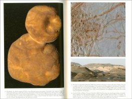 L'Universo — Libro - 3