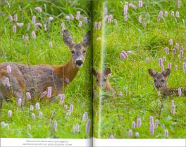 L'Uomo che Parla con gli Animali del Bosco — Libro - 3