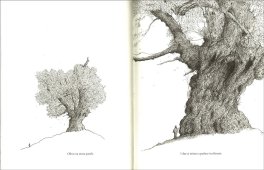 L'Utimo Albero — Libro - 3
