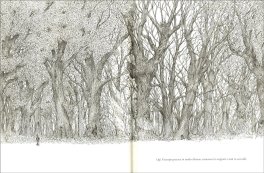 L'Utimo Albero — Libro - 4