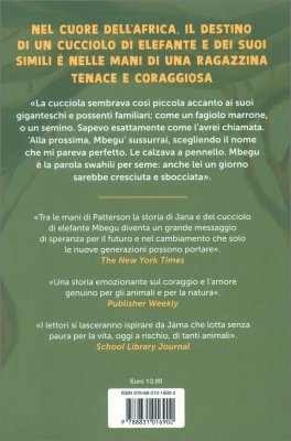 La Bambina che Amava gli Elefanti — Libro - 2