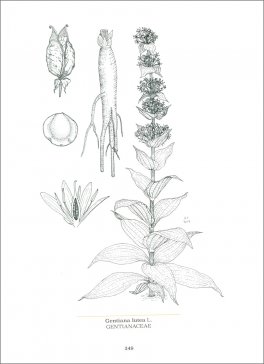 La Botanica della Birra — Libro - 3