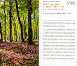 La Bottega della Foresta — Libro - 3