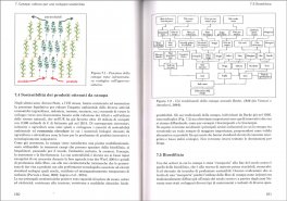 La Canapa — Libro - 3