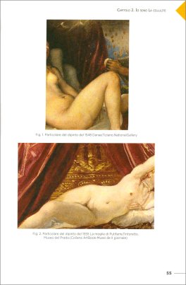 La Cellulite: Malattia o Inestetismo? — Libro - 3