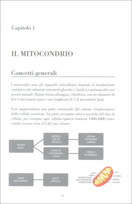 La Chiave della Salute e della Longevità — Libro - 3