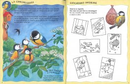 La Cinciallegra e i Suoi Amici — Libro - 3