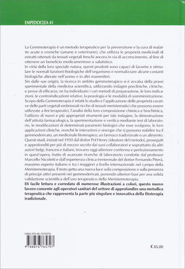 La Città degli Angeli — Libro - 2