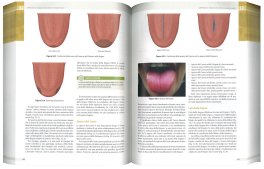 La Clinica in Medicina Cinese — Libro - 3