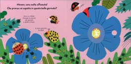 La Coccinella — Libro - 3