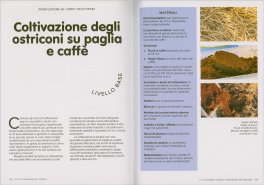 La Coltivazione dei Funghi — Libro - 4