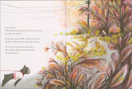 La Cosa più Bella — Libro - 3