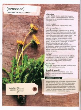 La Cucina delle Erbe Spontanee — Libro - 3