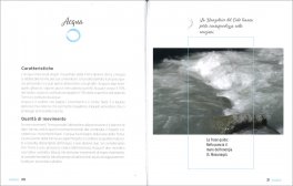 La Danza degli Elementi — Libro - 3