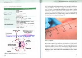 La Dieta Ipoistaminica — Libro - 3