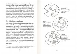 La Digestione Magica — Libro - 3