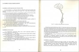 La Fabbrica dei Sentimenti sul Corpo dell'Uomo - Vol. 1 — Libro - 3