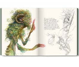 La Faglia delle Fate — Libro - 5