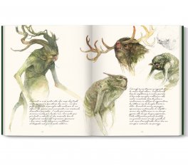 La Faglia delle Fate — Libro - 4