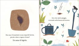 La Farfalla e il Fagiolo — Libro - 3