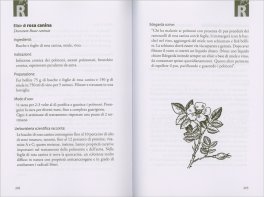 La Farmacia di Santa Ildegarda — Libro - 3