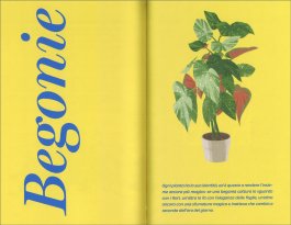 La Felicità Mette Radici — Libro - 3