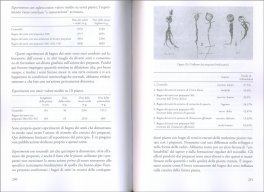 La Fertilità della Terra — Libro - 3