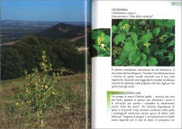 La Fitoterapia di Nonna Enrichetta — Libro - 3