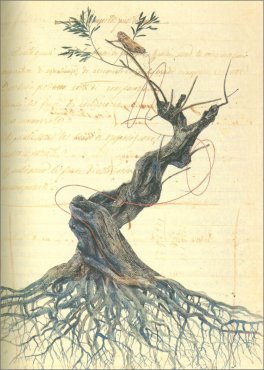 La Foglia di Fico — Libro - 3