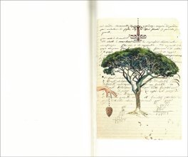 La Foglia di Fico — Libro - 3