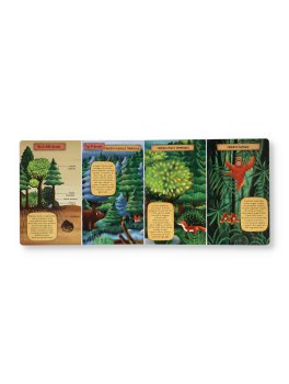 La Foresta — Libro - 4