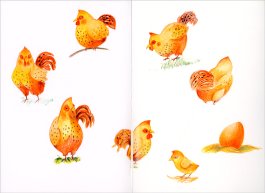 La Gallina di Sofia — Libro - 4