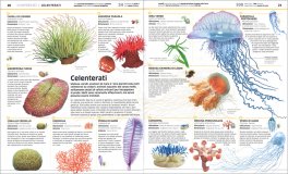 La Grande Enciclopedia degli Animali — Libro - 3