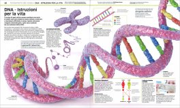 La Grande Enciclopedia del Corpo Umano — Libro - 3