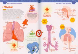La Grande Enciclopedia del Corpo Umano — Libro - 4