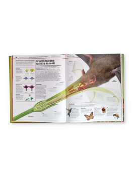 La Grande Enciclopedia di Piante & Funghi — Libro - 2