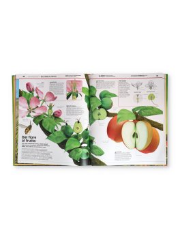 La Grande Enciclopedia di Piante & Funghi — Libro - 3