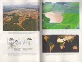 La Grande Rigenerazione Climatica — Libro - 4