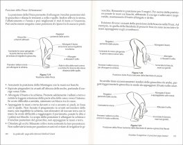 La Guida allo Yoga della Harvard Medical School — Libro - 3