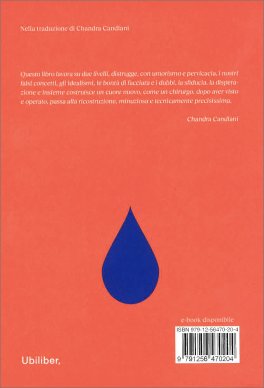 La Libertà Illimitata del Tonglen — Libro - 2