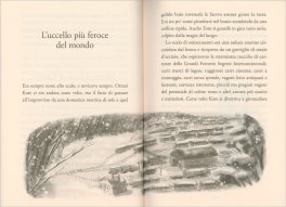 La Locomotiva d'Oro — Libro - 4