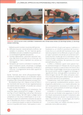 La Lombalgia: Approccio Multiprofessionale per il Fisioterapista — Libro - 3