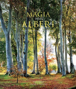 La Magia degli Alberi — Libro - 1