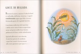 La Magia del Bosco — Libro - 3