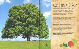 La Magia e il Mistero degli Alberi — Libro - 3