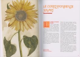 La Magia Solare — Libro - 3