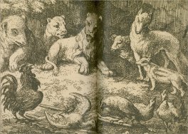 La Magia Solare — Libro - 4