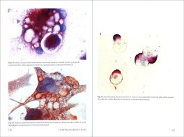 La Medicina del Futuro — Libro - 3
