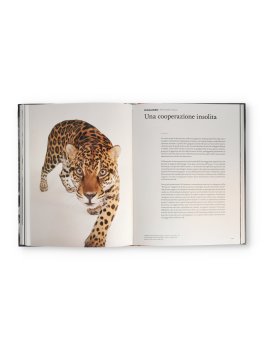 La Mente degli Animali — Libro - 3