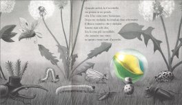 La Meraviglia Caduta dal Cielo — Libro - 3